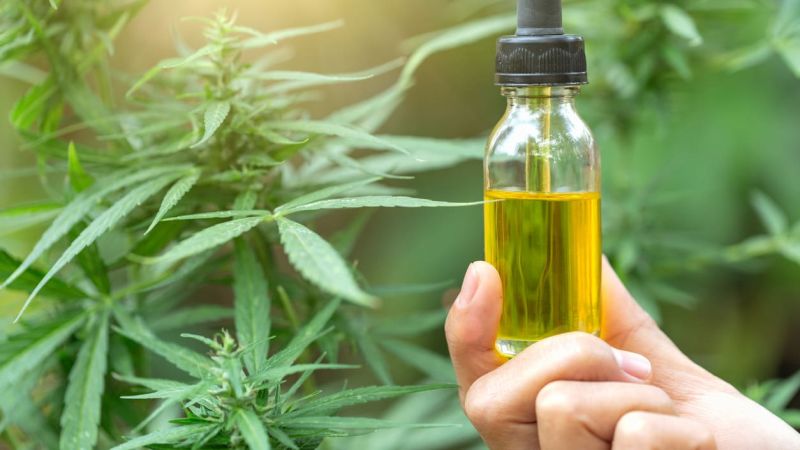 Guida Completa al CBD: Cos’è, Come Funziona e Quali Benefici Offre