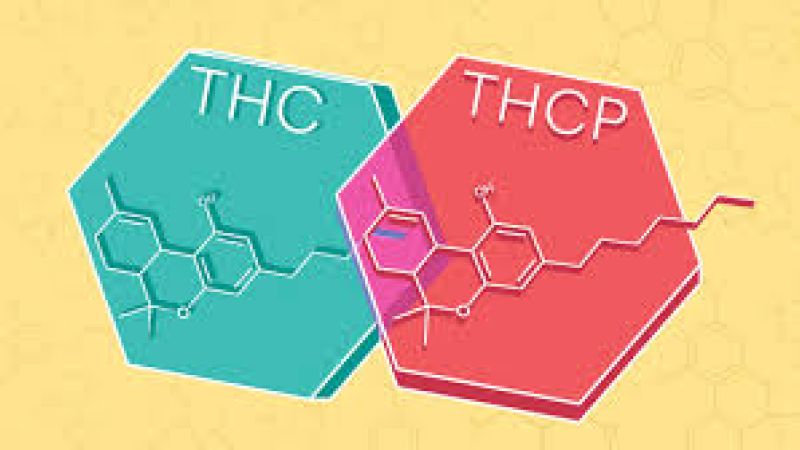 La Francia vieta H4CBD, THCP e altri nuovi cannabinoidi