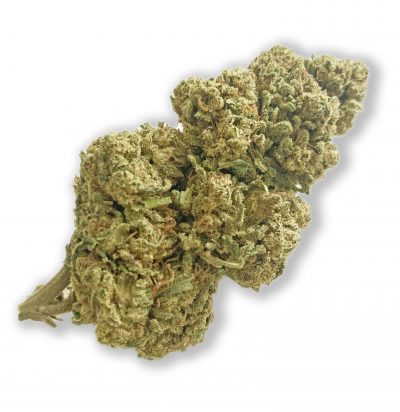 Harlequin-Natural-Jointoyou-Delivery-CBD-Weed-Cannabis- Legale