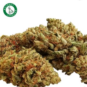 Critical INDOOR CON ESTRATTO ULTRA TOP 1g – DELIVERY BOLOGNA