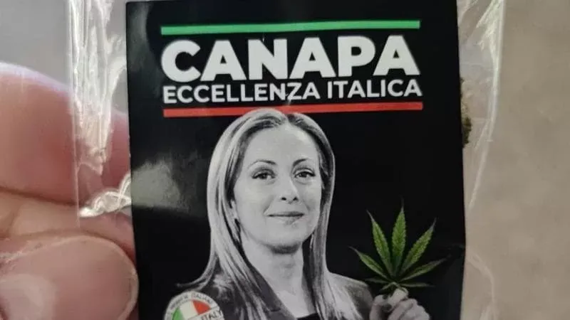 Il CBD &egrave; Legale o no? Breve guida alla confusione normativa