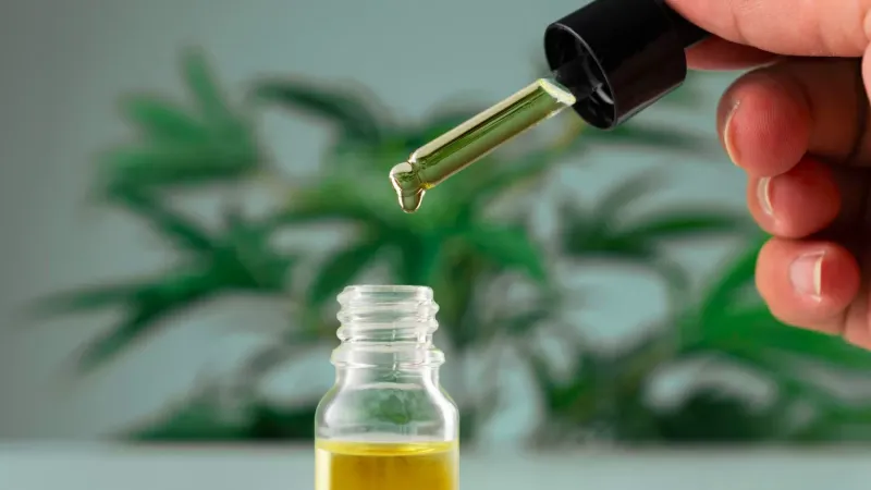 I Migliori Oli di CBD: Guida all&rsquo;Acquisto e Come Scegliere il Prodotto Giusto